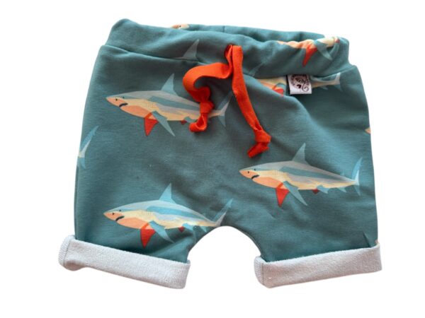 Short sharks